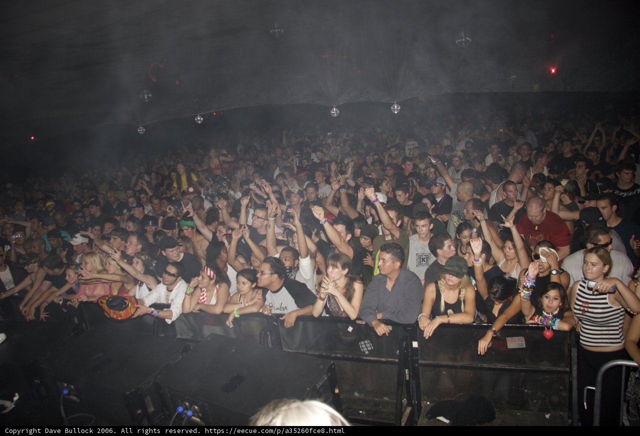 Rocking Out at the Night Club