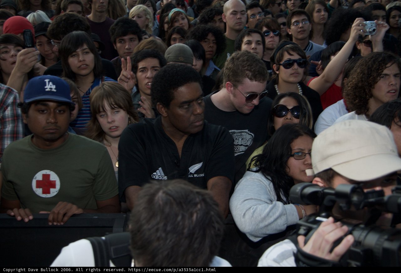 Amongst the Crowd