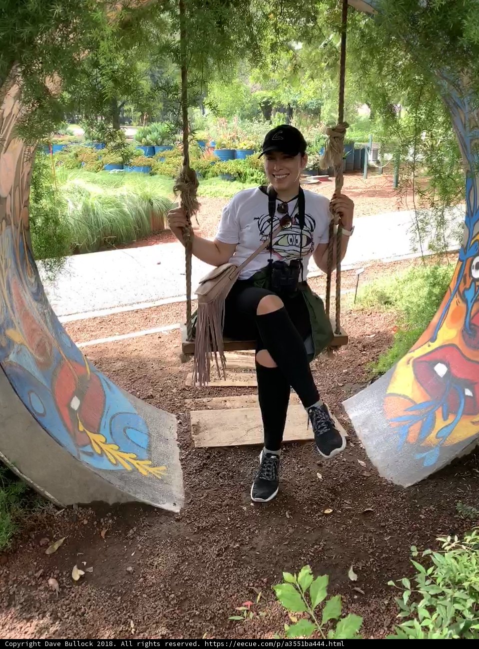 Swinging in the Park
