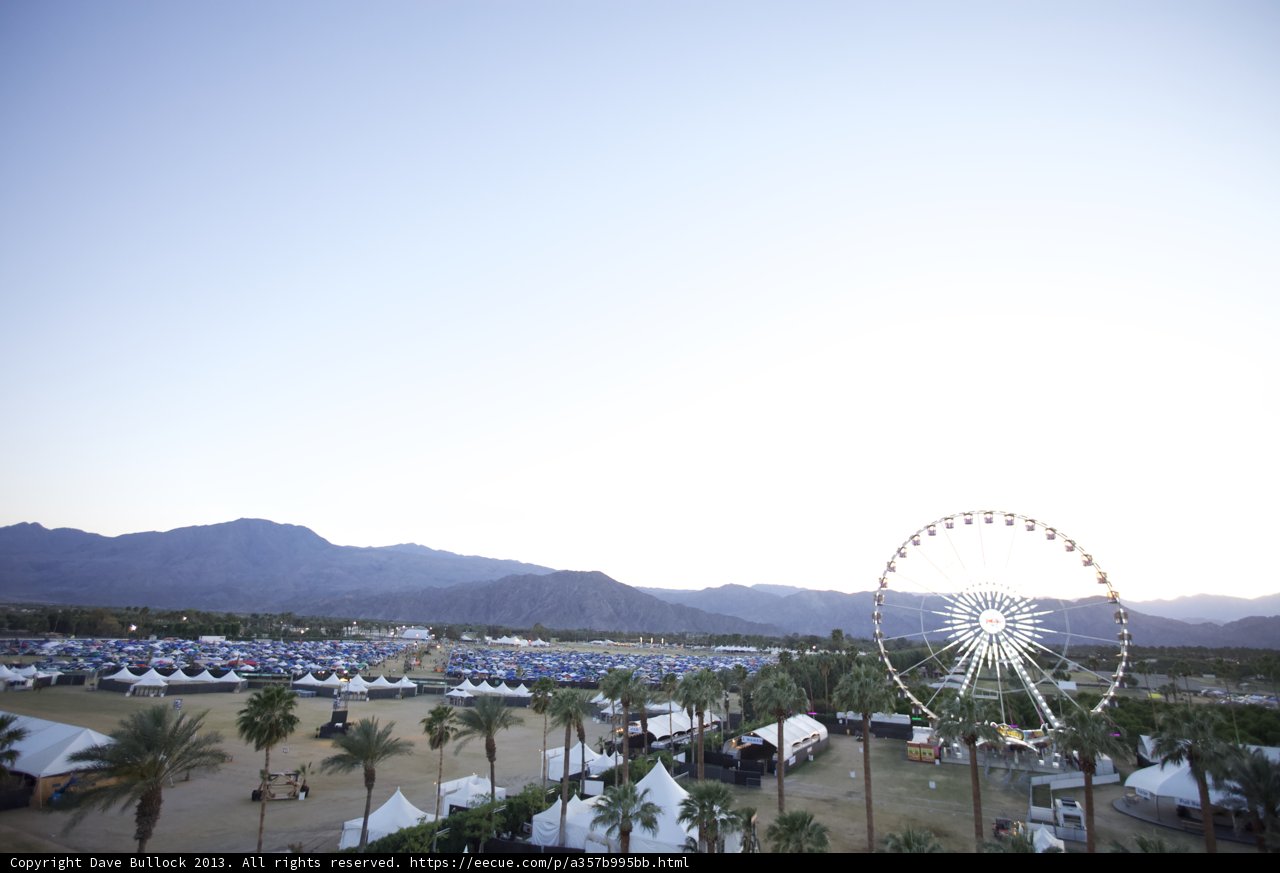 Ferris Wheel Fun in a Field