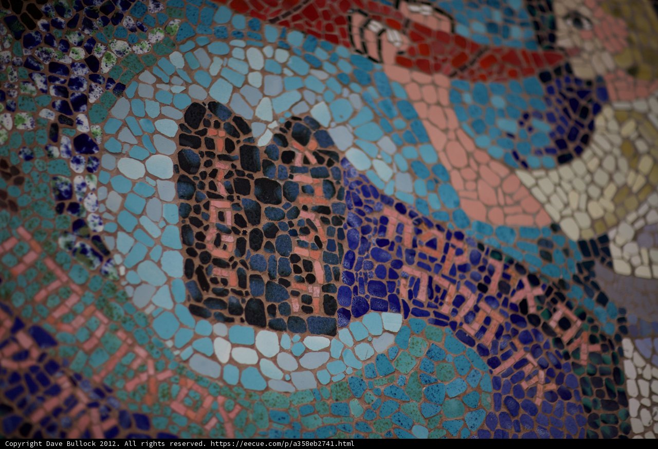 A Panther Mosaic of Two Faces