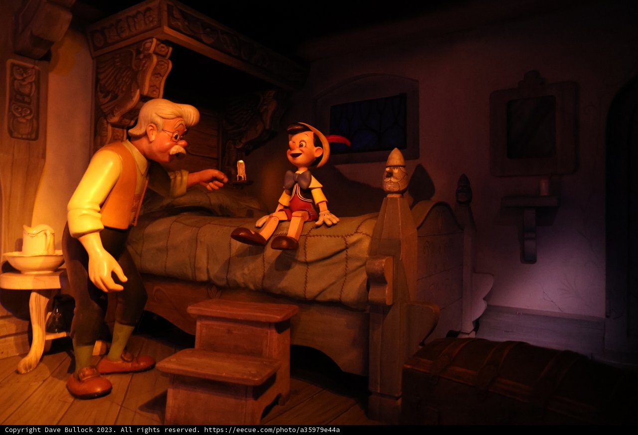 Bedtime Story