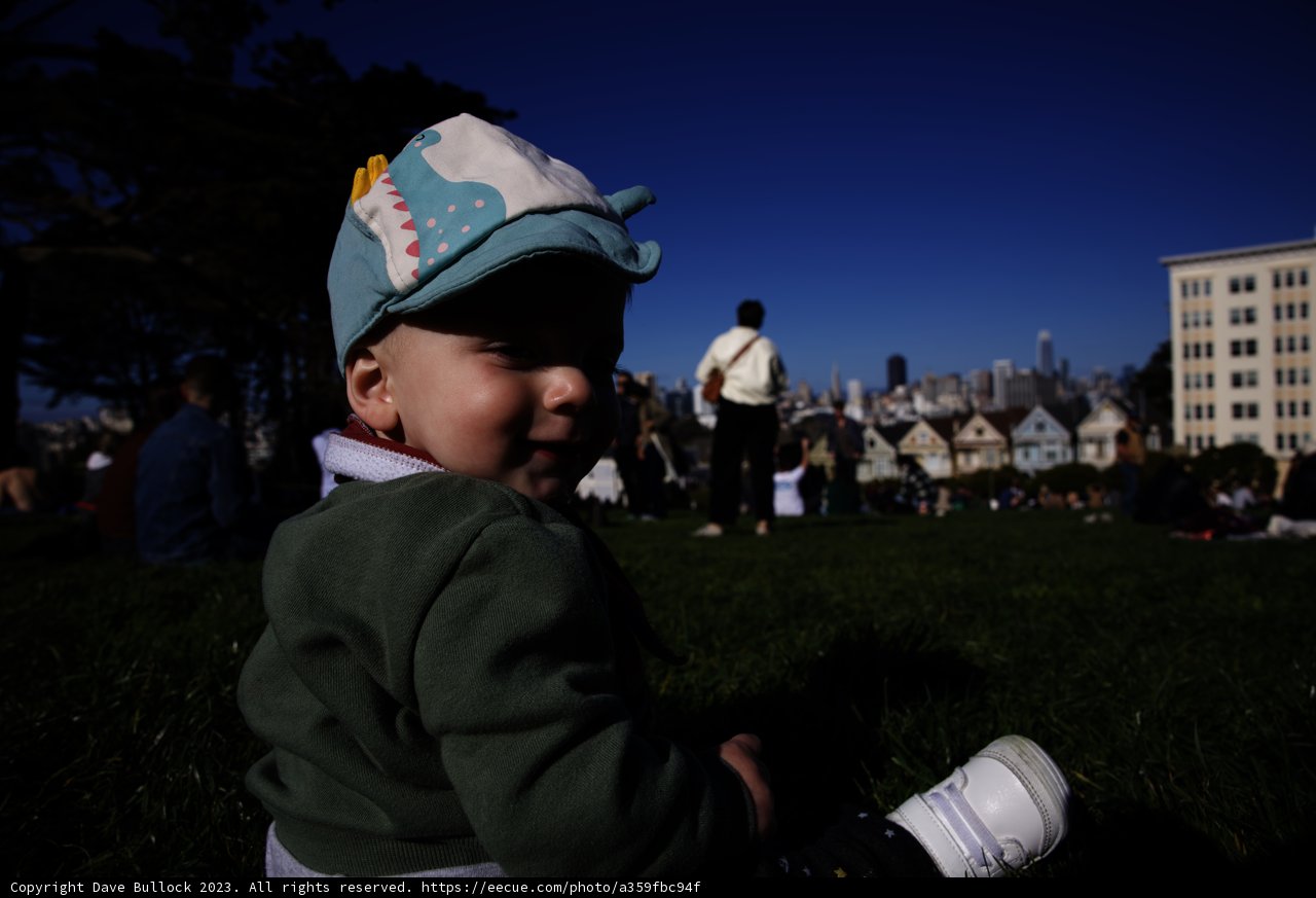 A Charming Day at Alamo Square