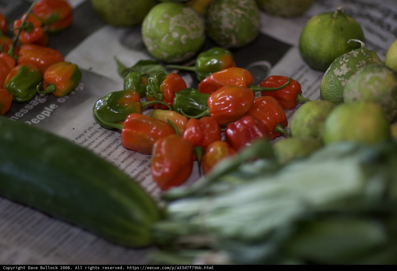 Fresh Harvest
