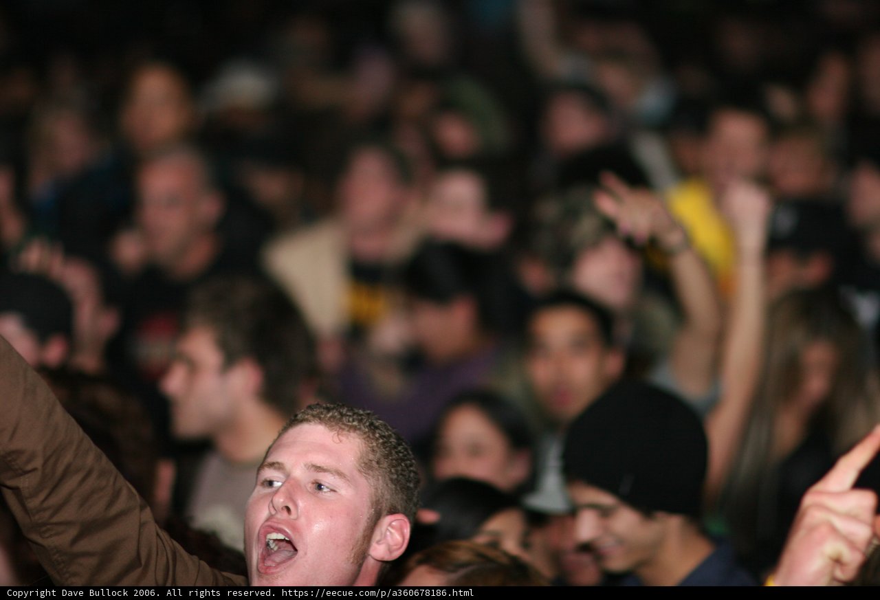 High Energy Concert Crowd