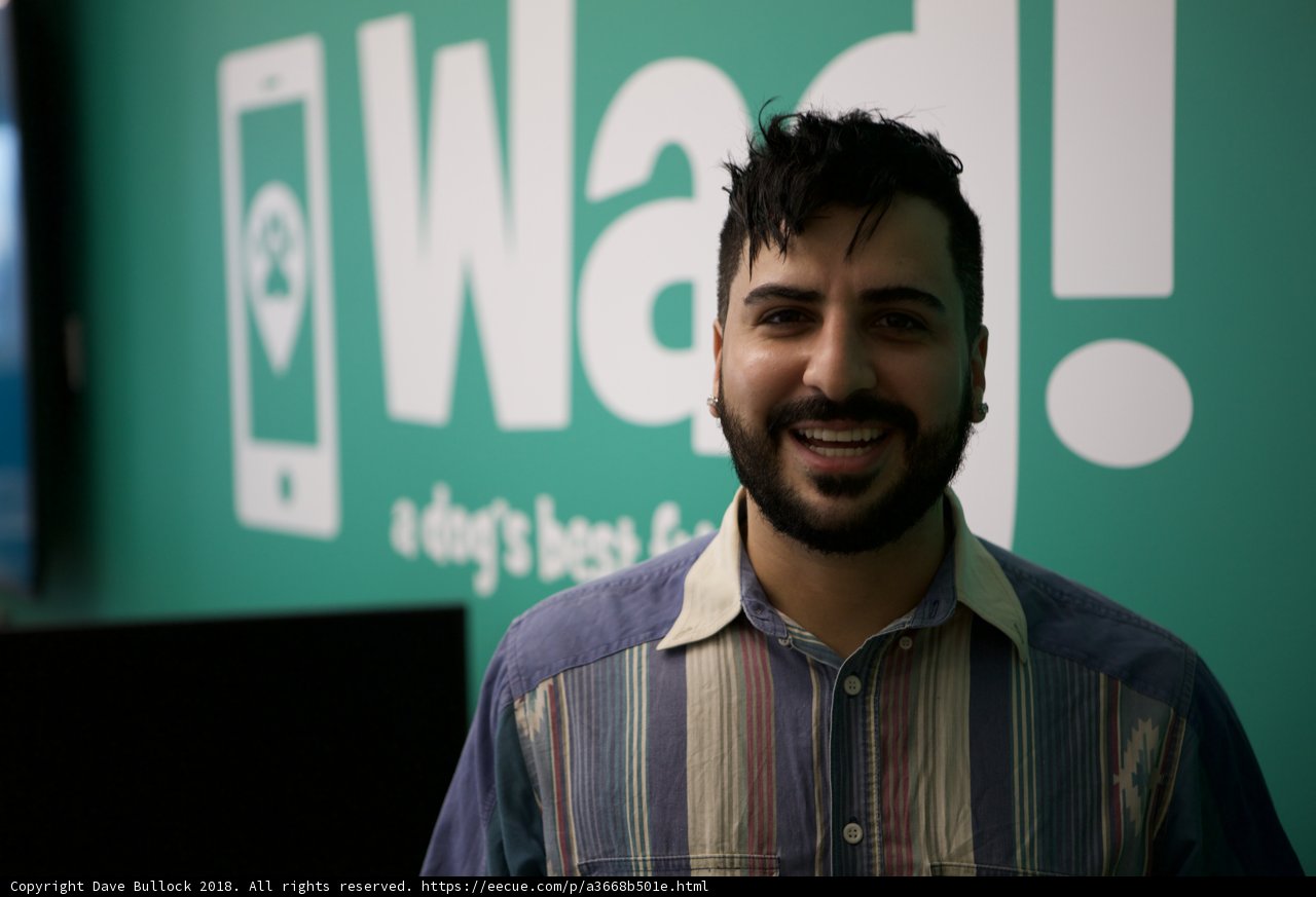 Happy bearded man in a shirt