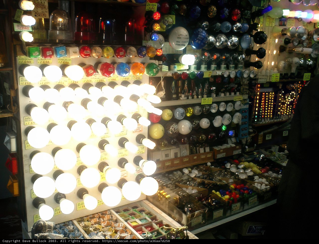 Bright Lights, Big Store