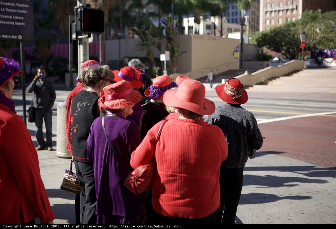 Red Hat Society Ladies