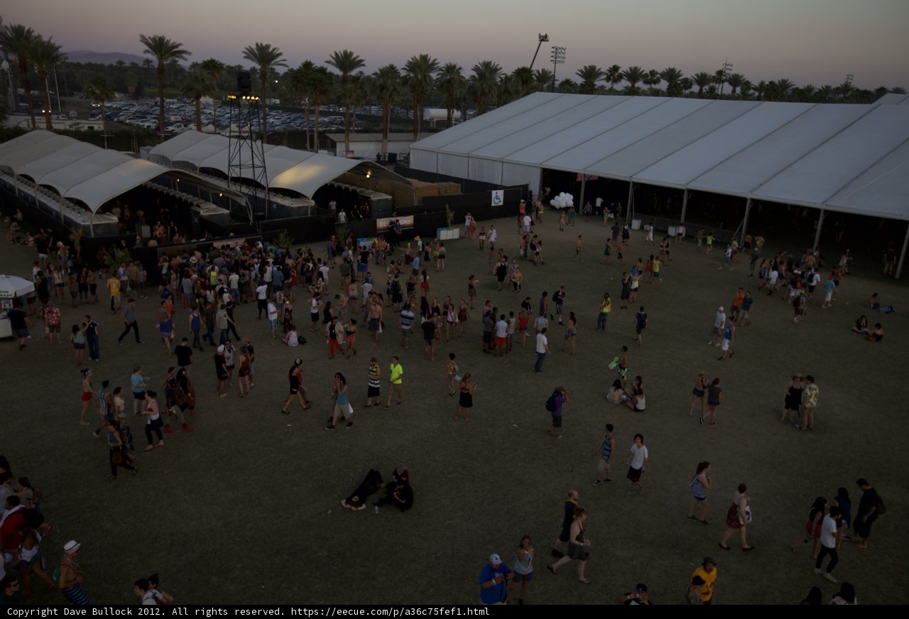 Festival Fanatics