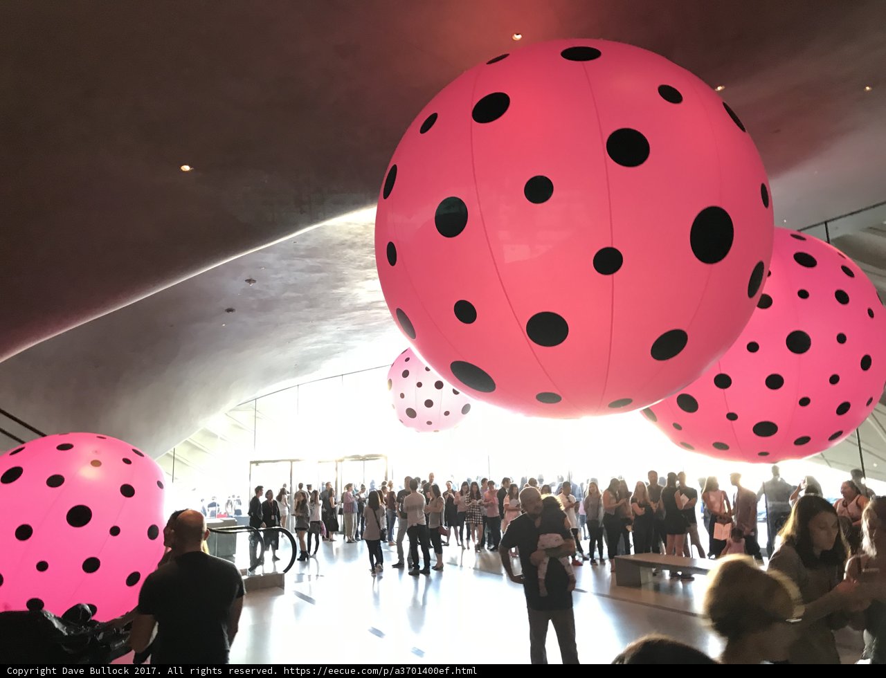 Polka Dot Party