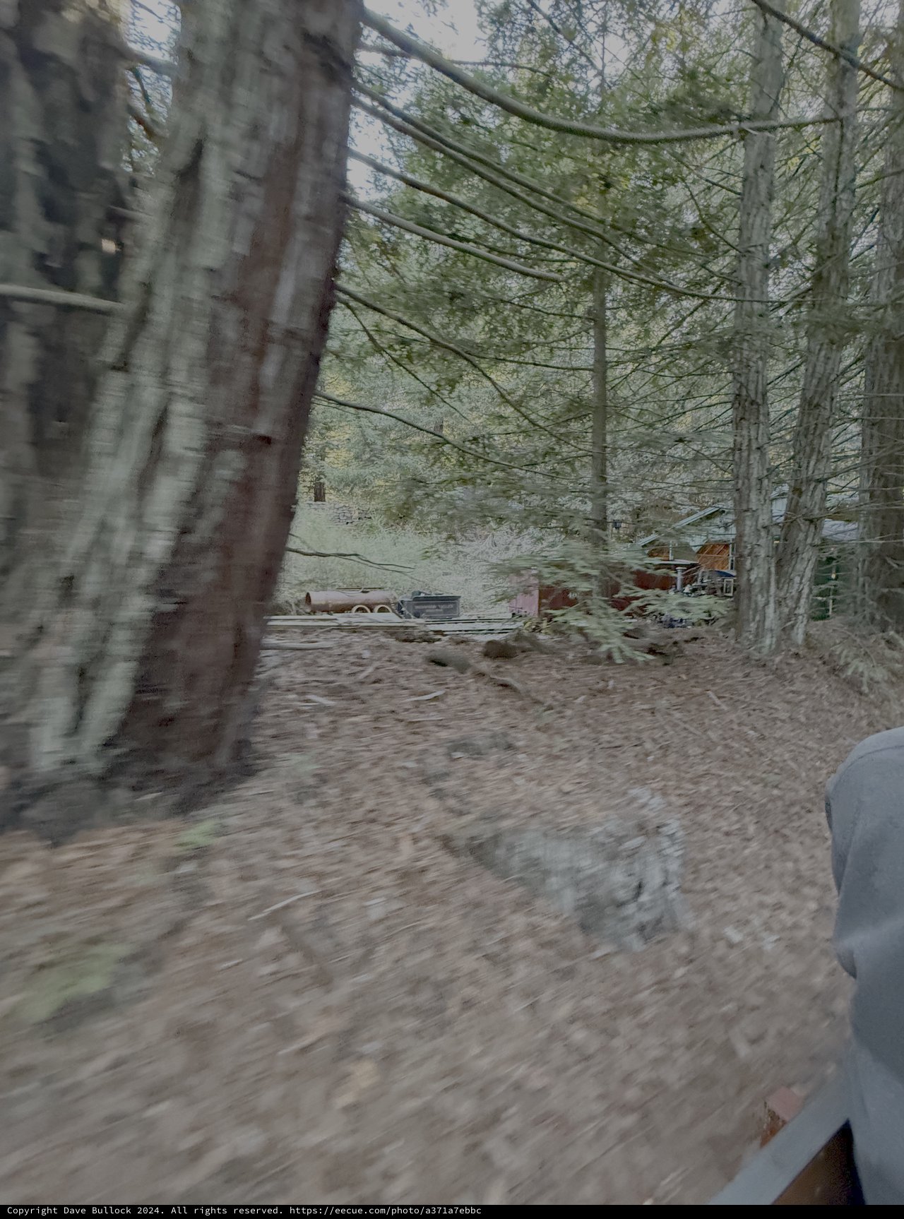 Motion Blur Through Rural Wooded Area