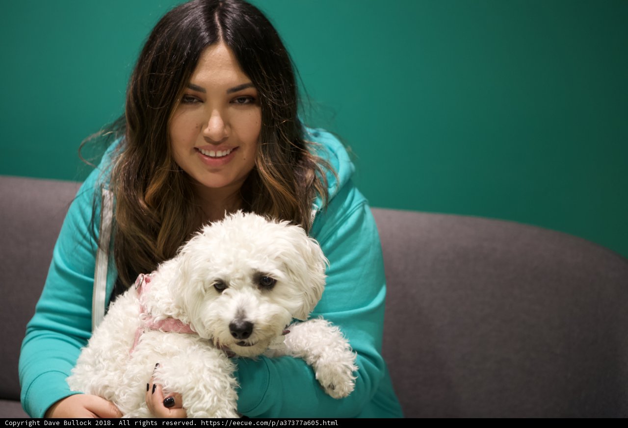 A Woman and her Canine Companion