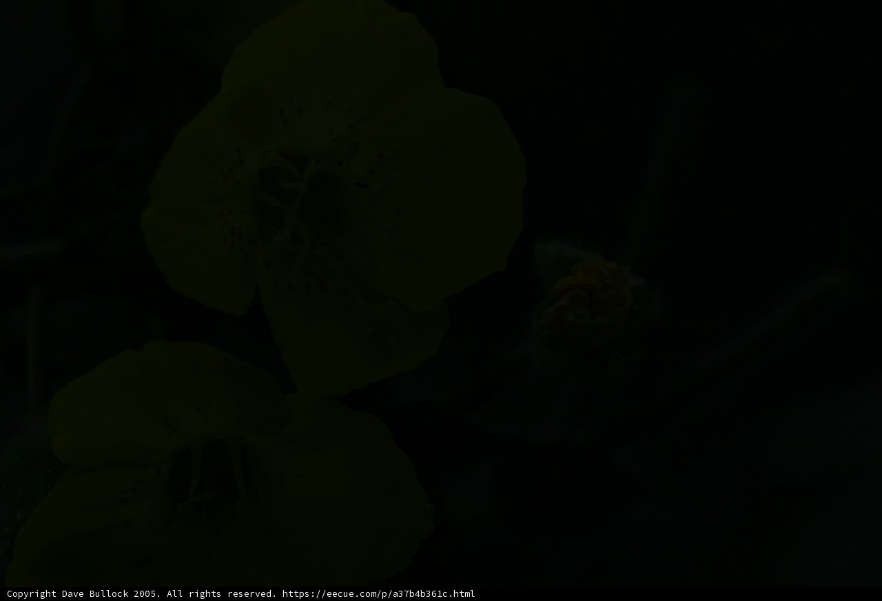Find Beauty in the Dark