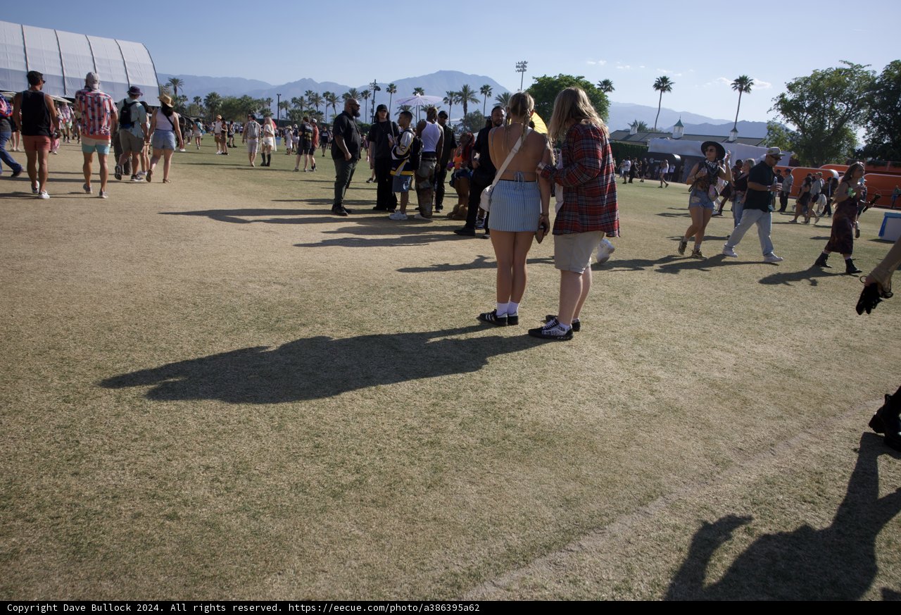 Festival Vibes at Coachella 2024