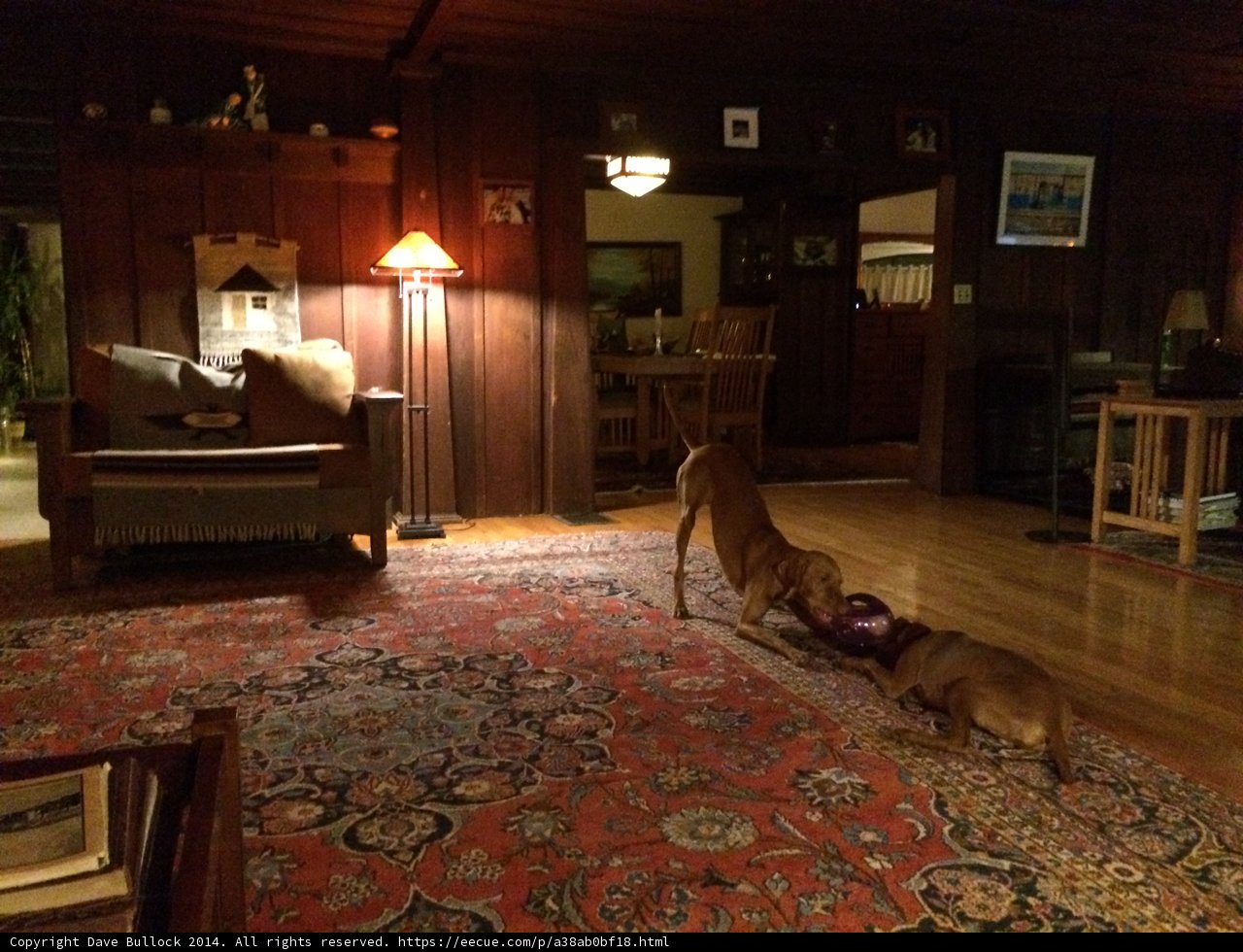 Playtime in the Living Room