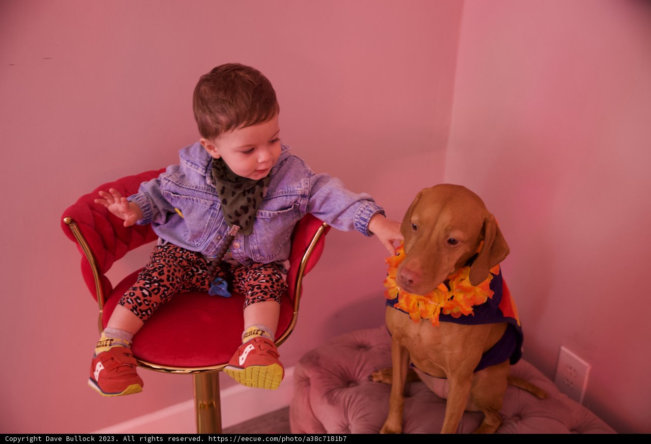 A Birthday Bond: Wesley & His Canine Companions