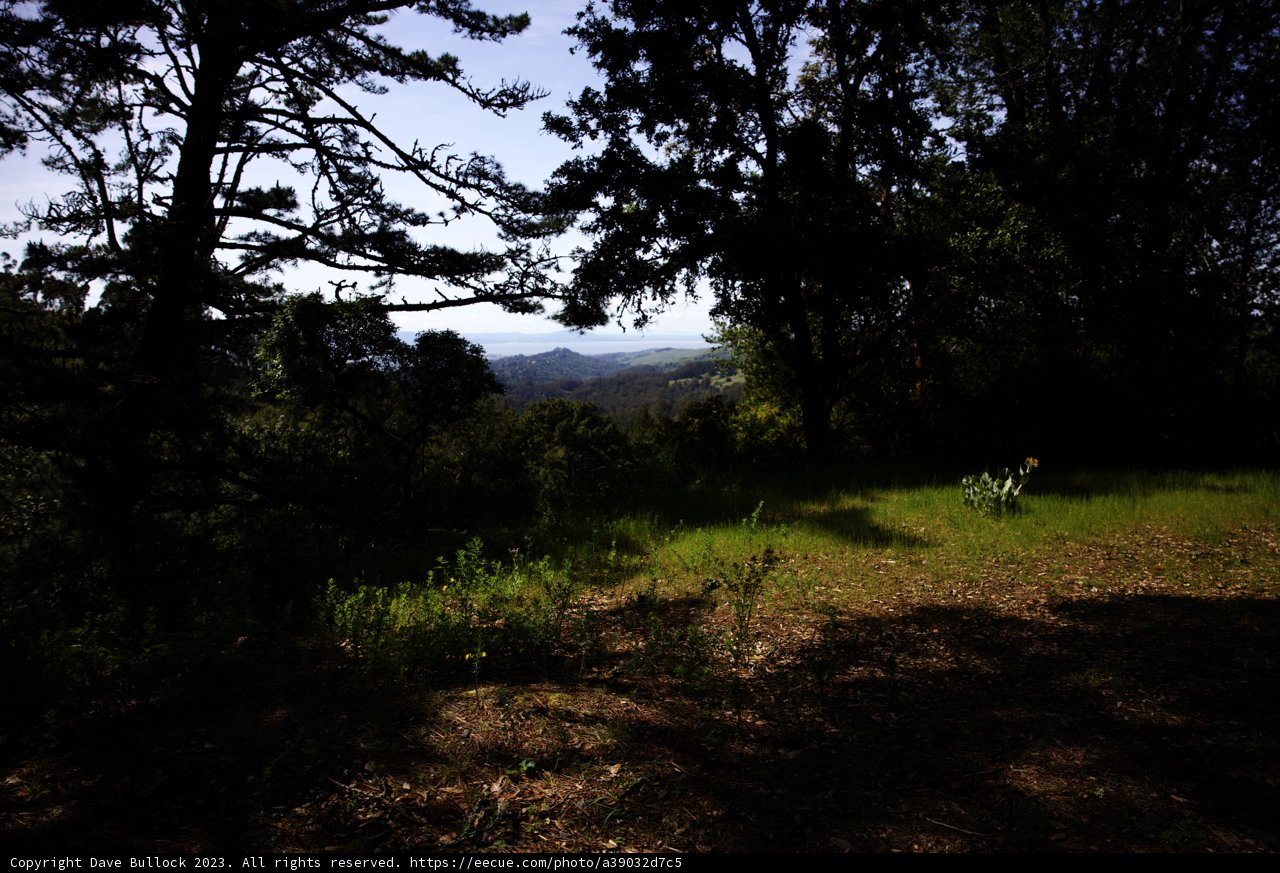 Serene Hills of Tilden Regional Park