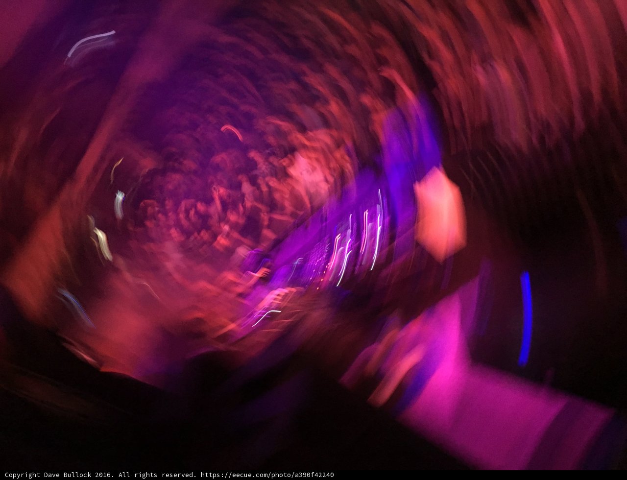 Purple Night Club