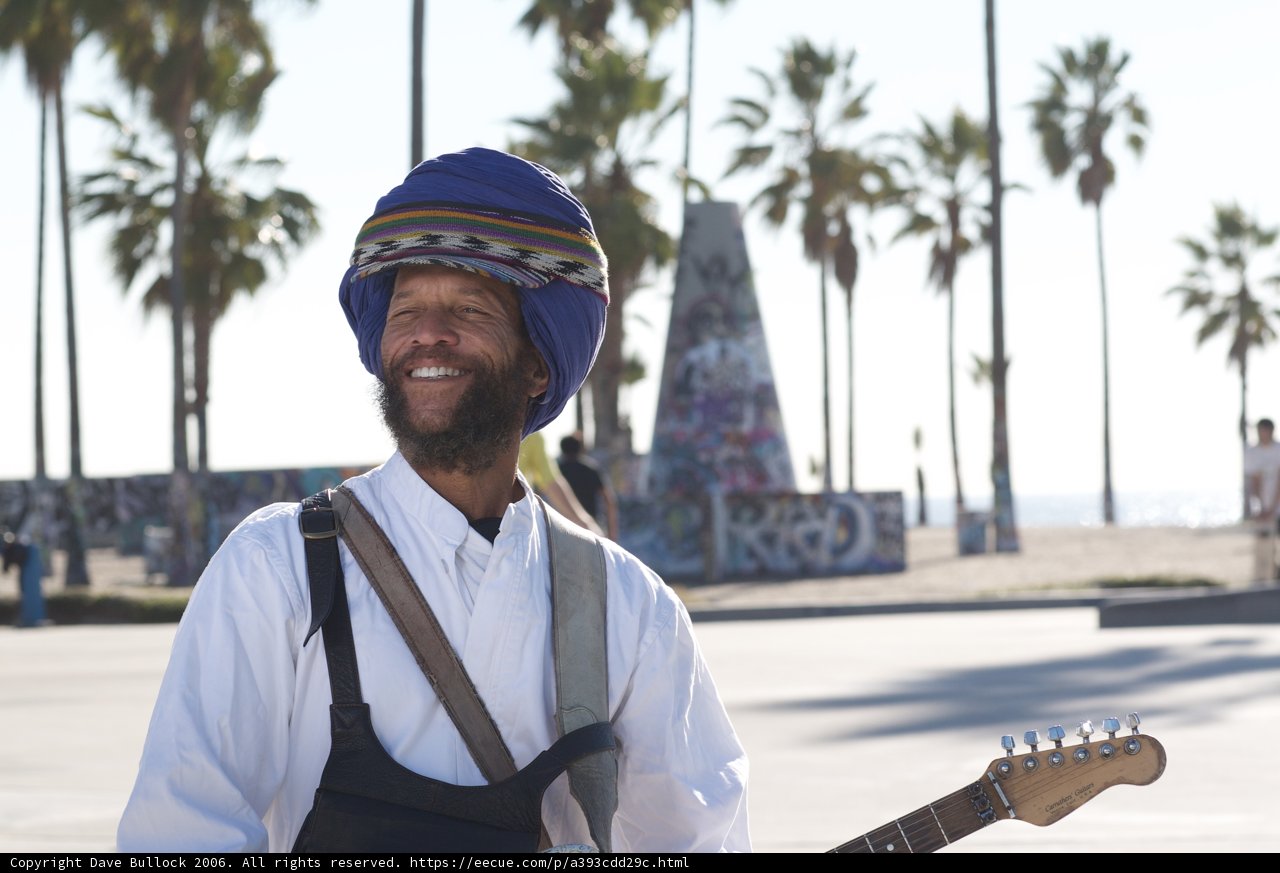 Guitar Strumming under the Palm Tree