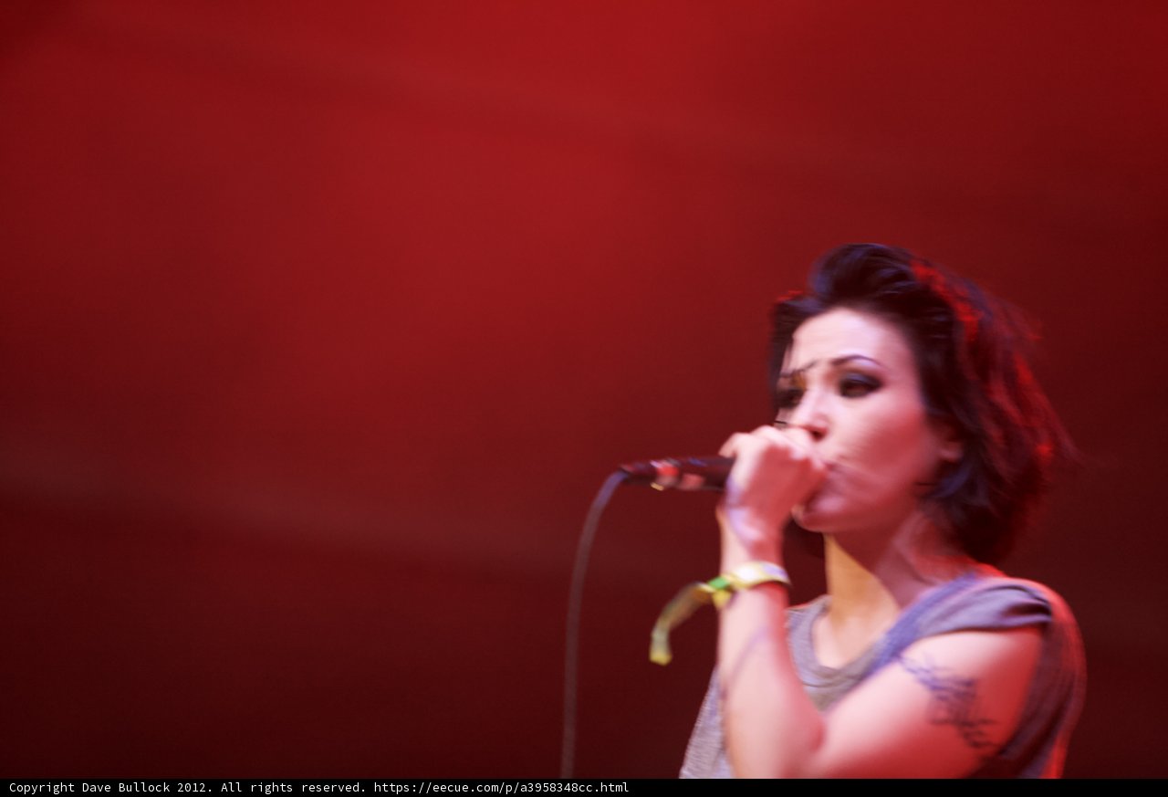 Tattooed Songstress Takes Coachella Stage