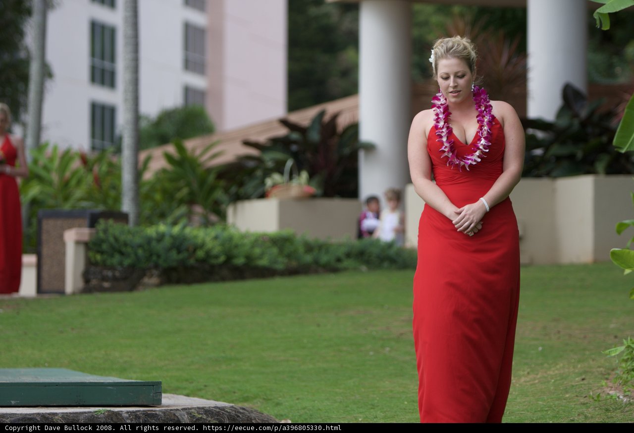 Lady in Red