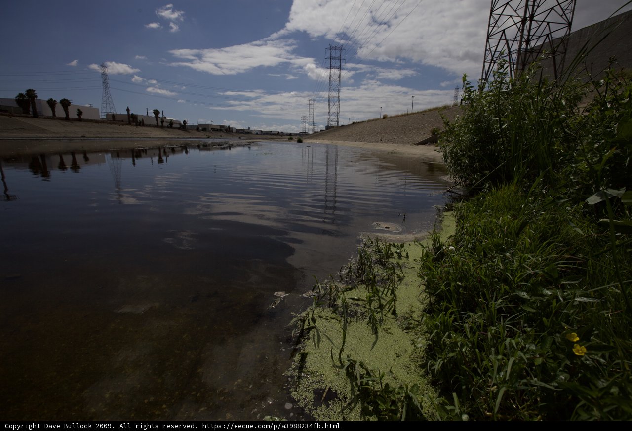 Serene Water Body with Lush Foliage and Cable Lines