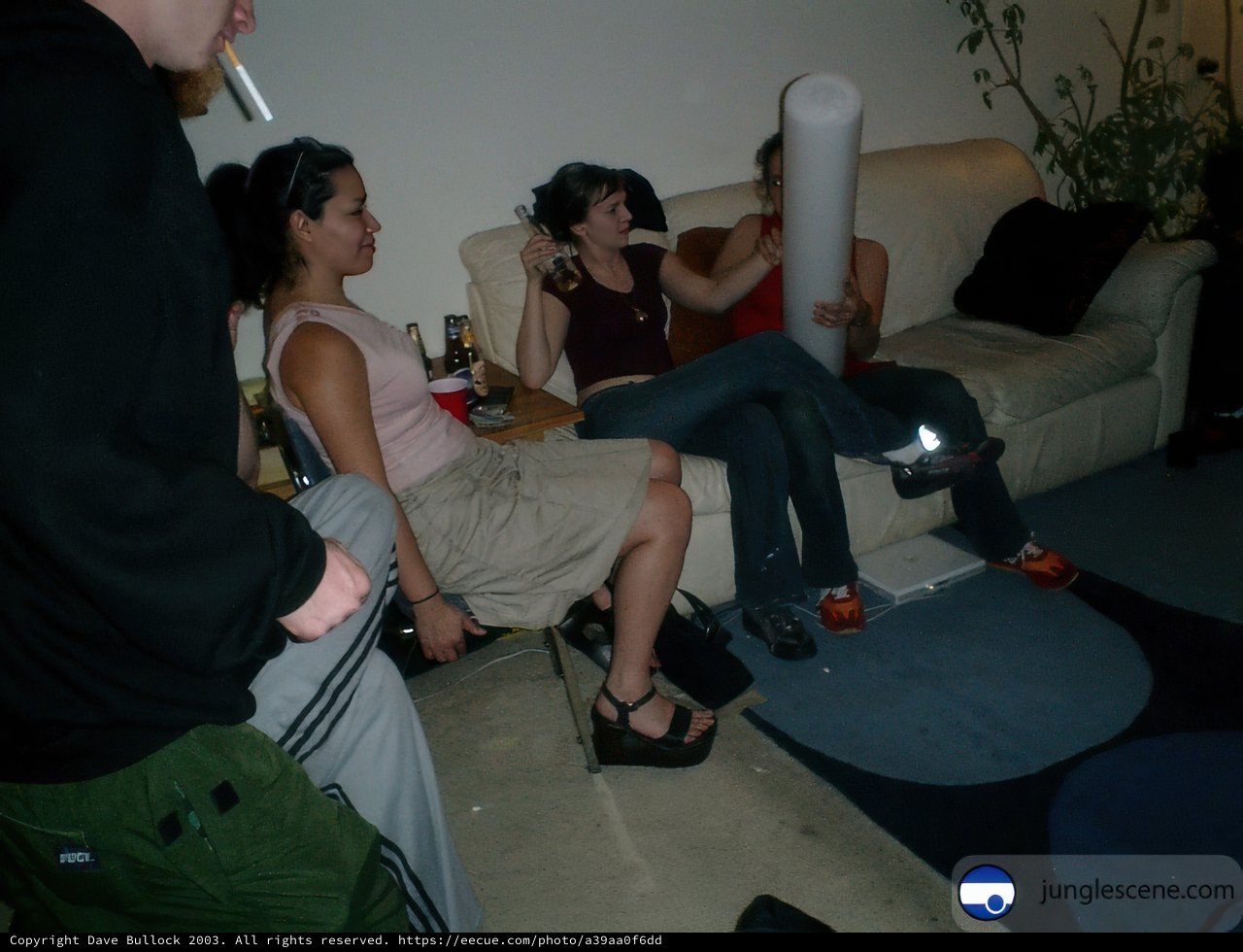 Wedding Party on the Sofa