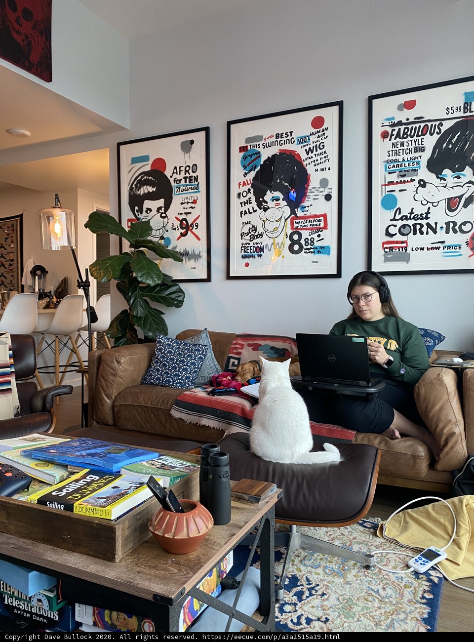 Comfortable Company