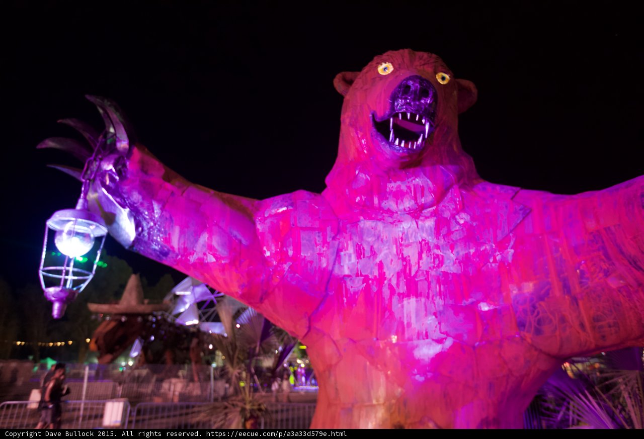 Bear in Magenta Glow