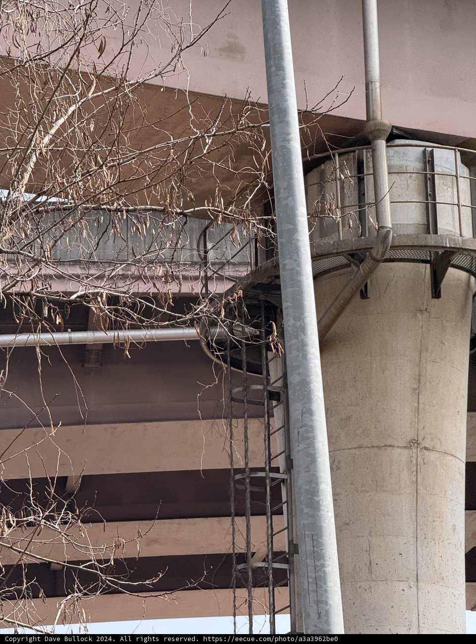 Urban Echoes: The Iron Serpent of Seoul
