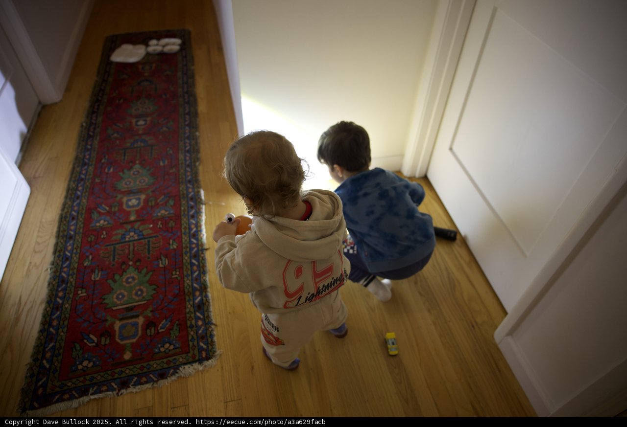 Little Explorers at Play