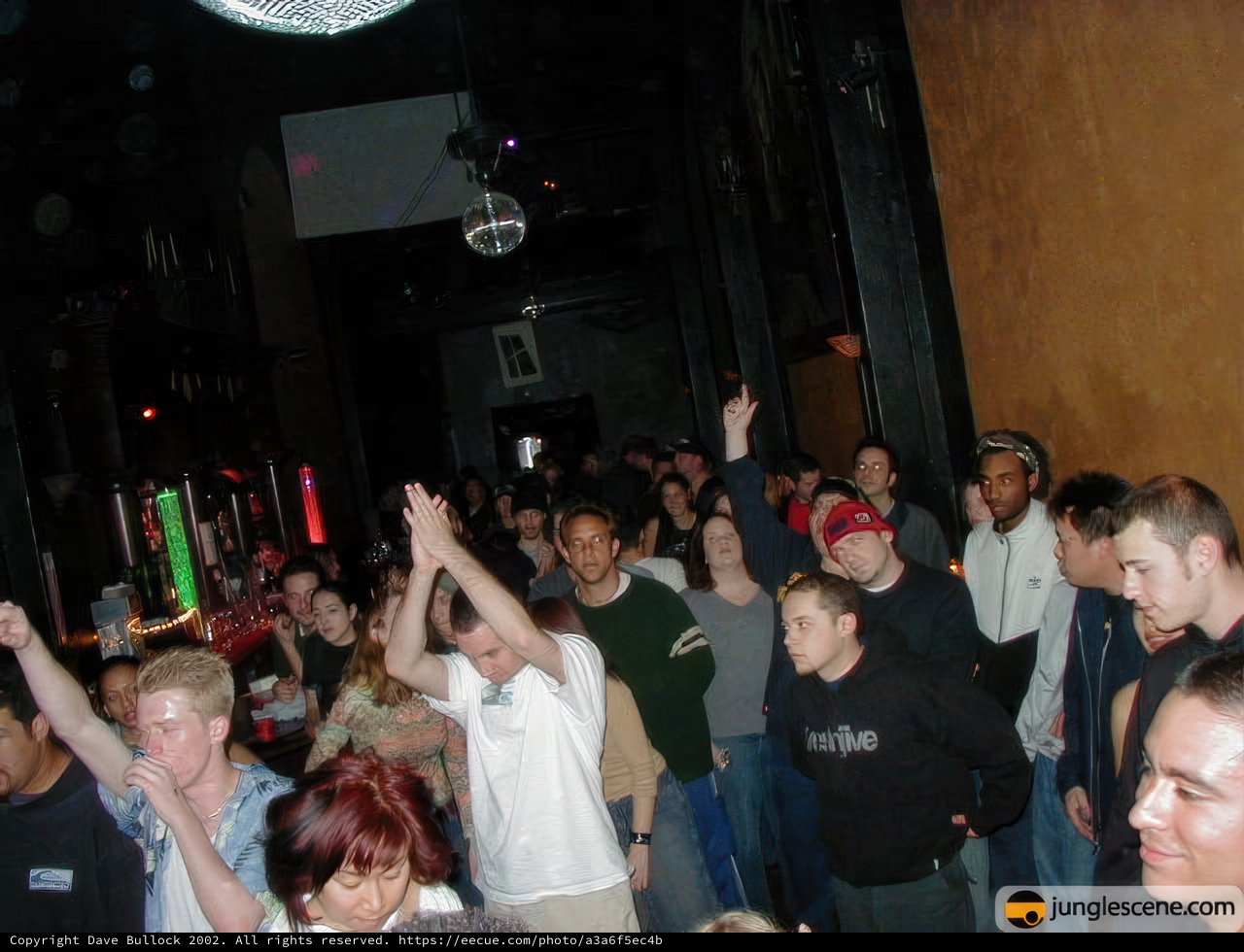Nightlife Fun