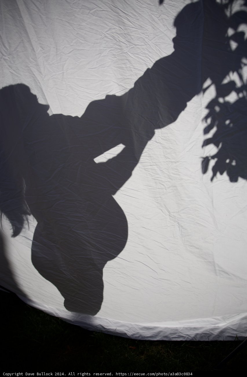 Shadows of a New Beginning