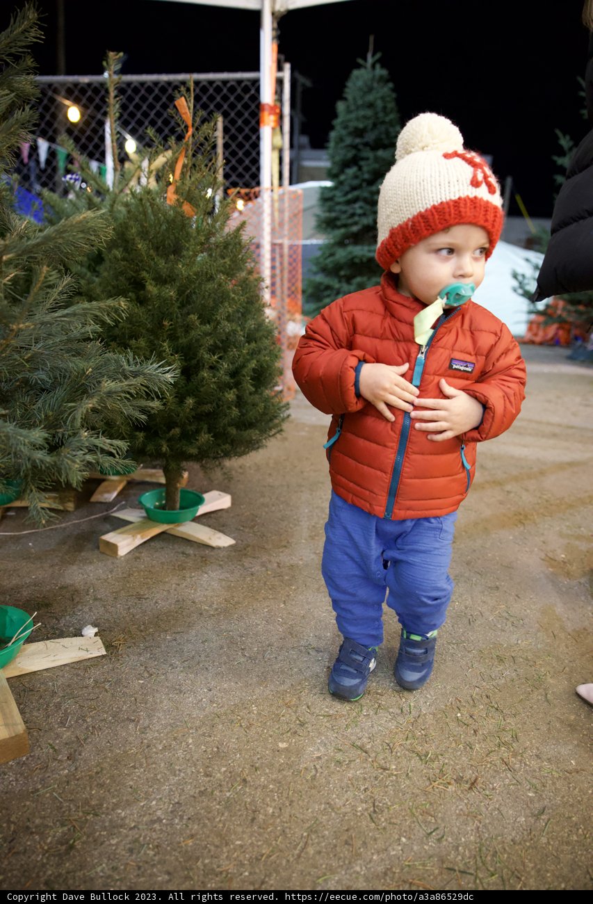 Wesley's Christmas Adventure