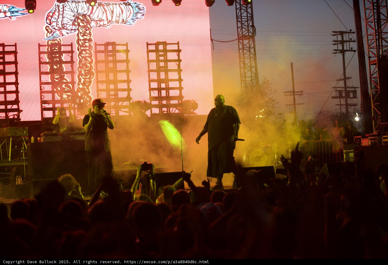 Performers and Crowd