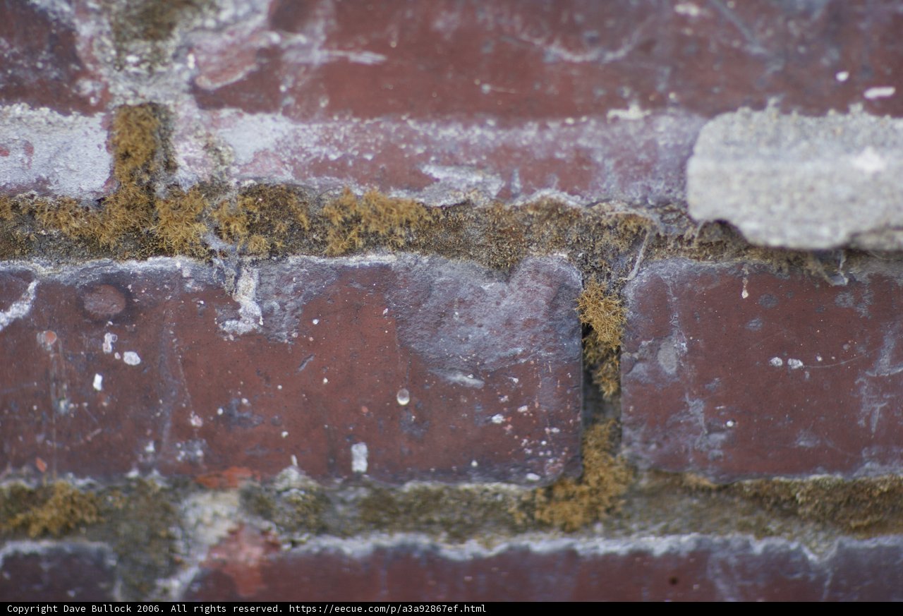 The Natural Beauty of Brick