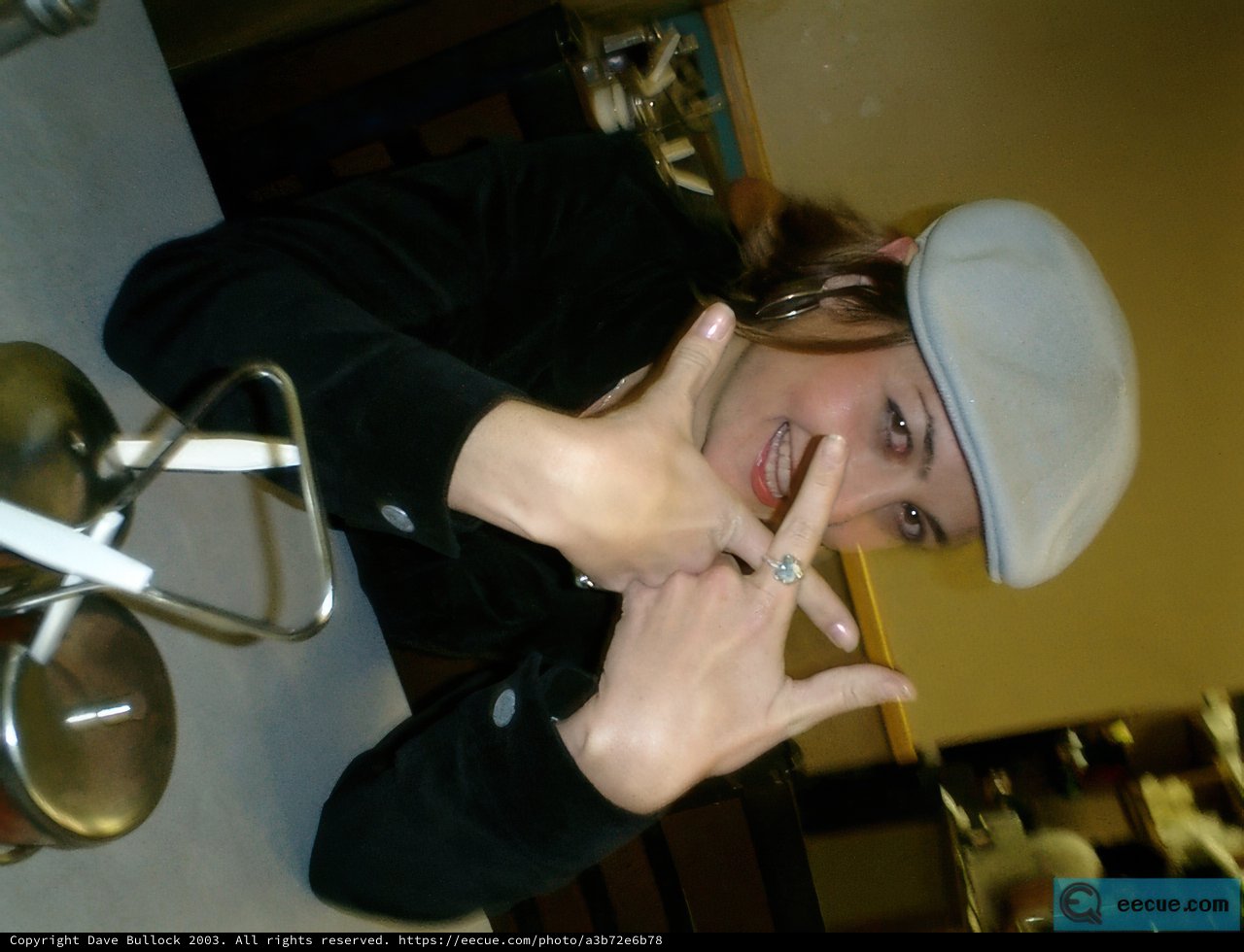 Hand Gestures