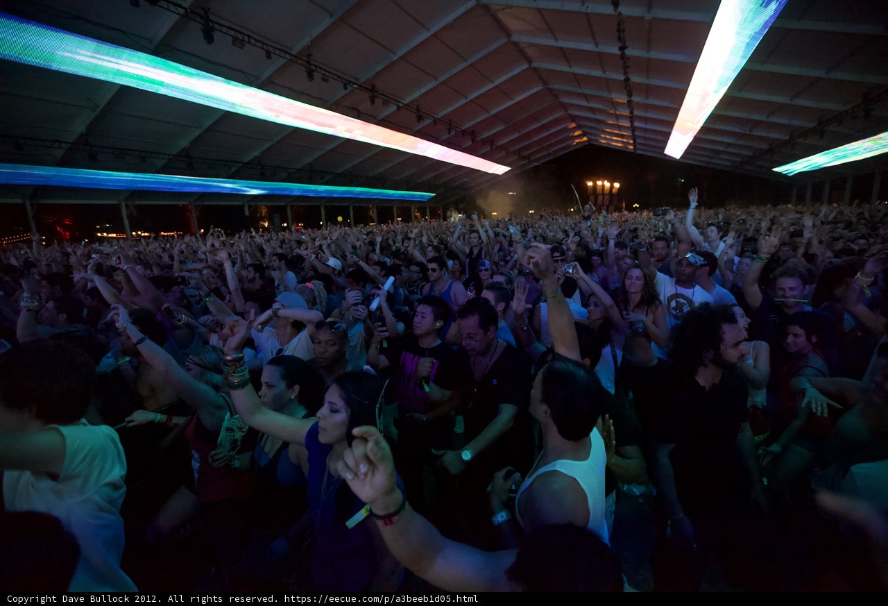 Coachella Crowd Goes Wild