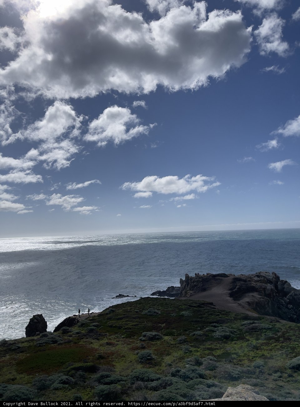 Majestic Views of the Ocean from Jenner Hillside
