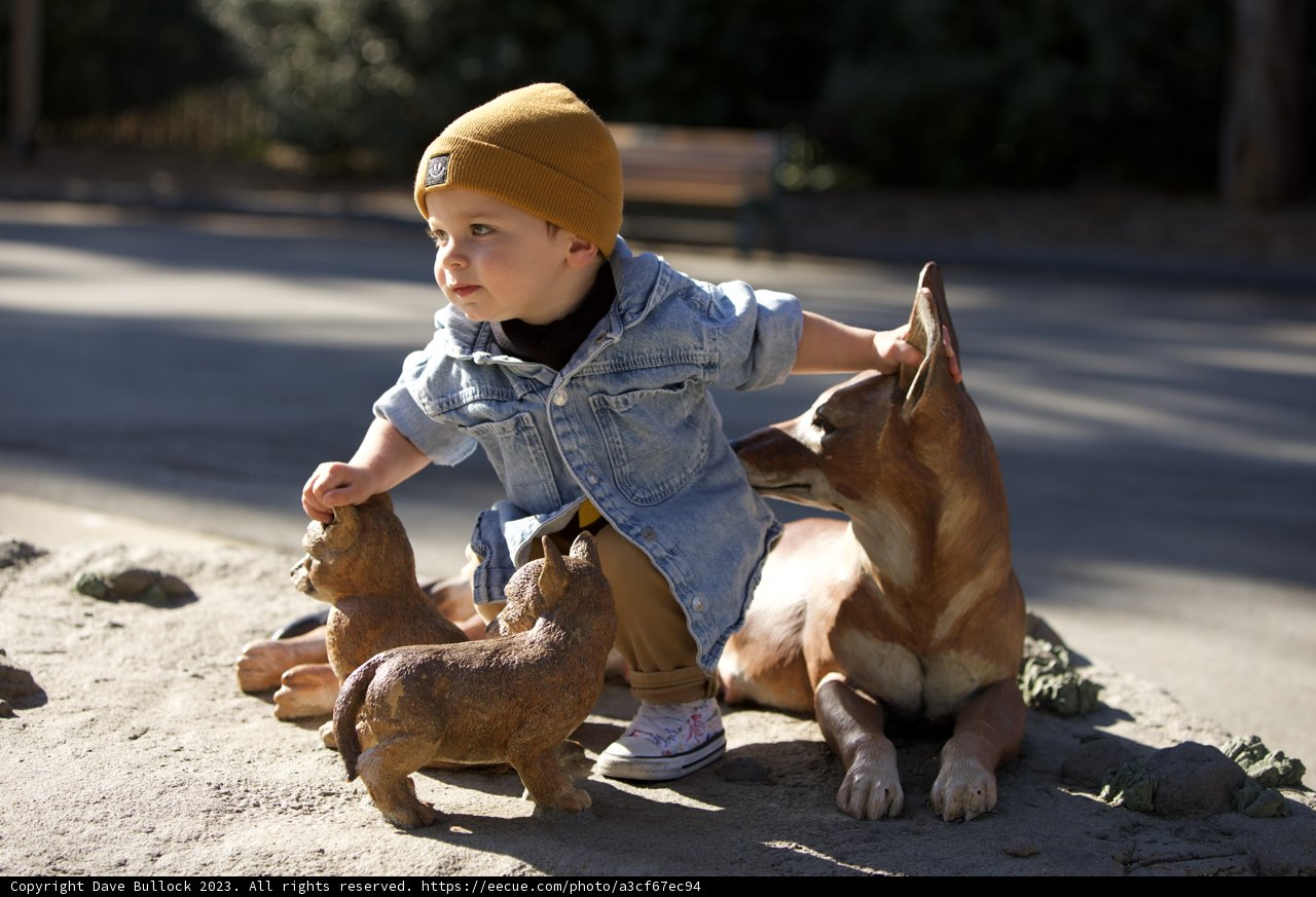 Wildlife Wonder: A Day at the SF Zoo