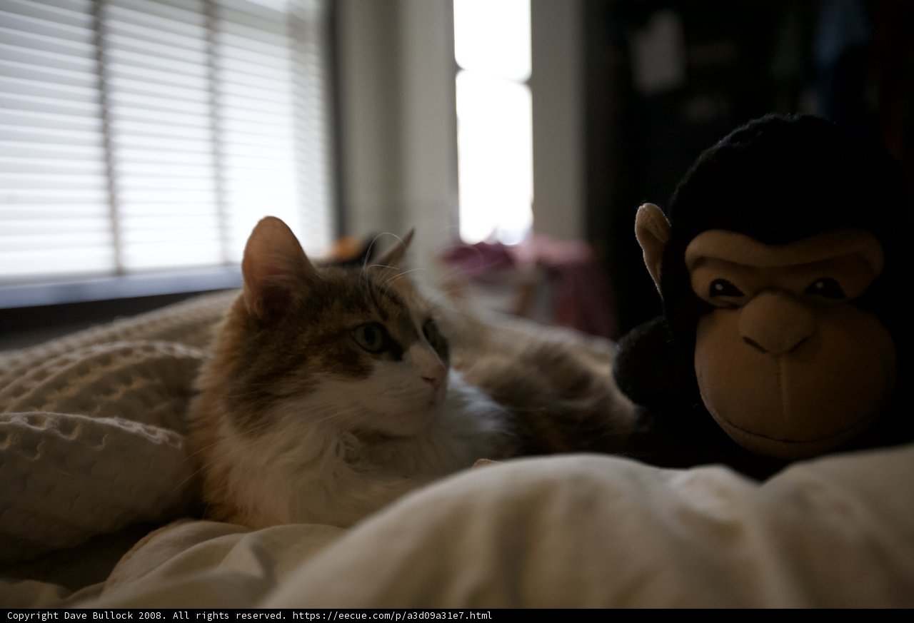 Unlikely Friendship