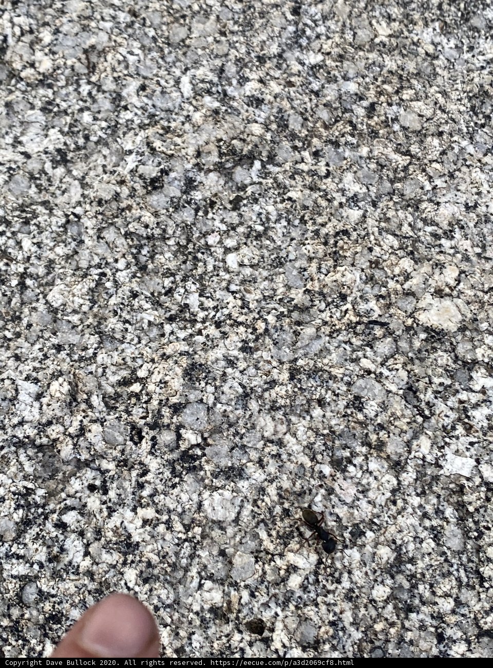 Granite in Hand