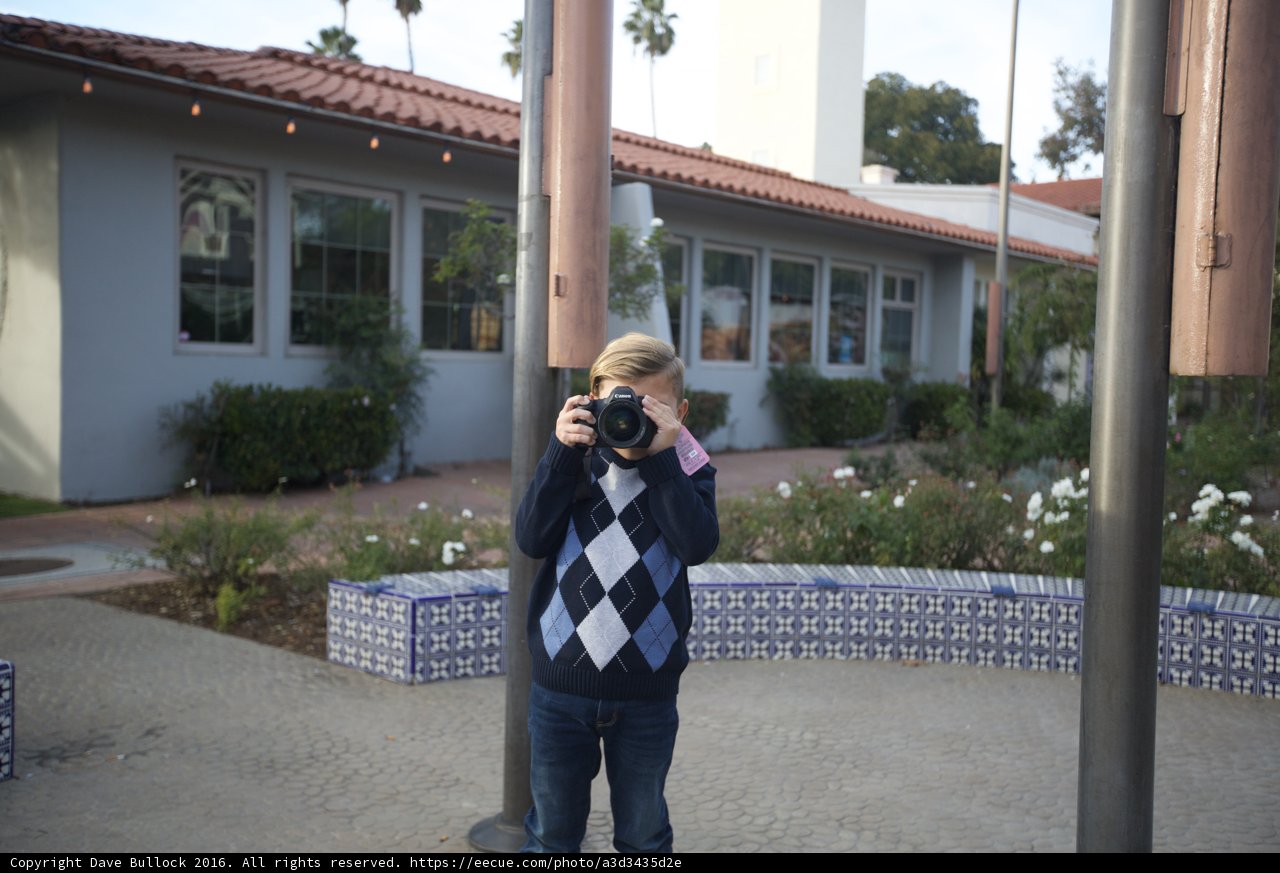 Little Photographer