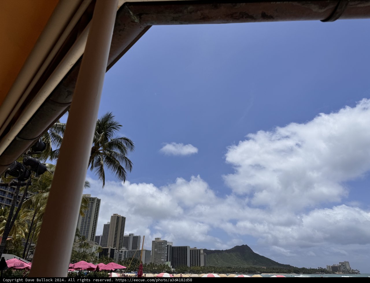 Urban Oasis in Paradise