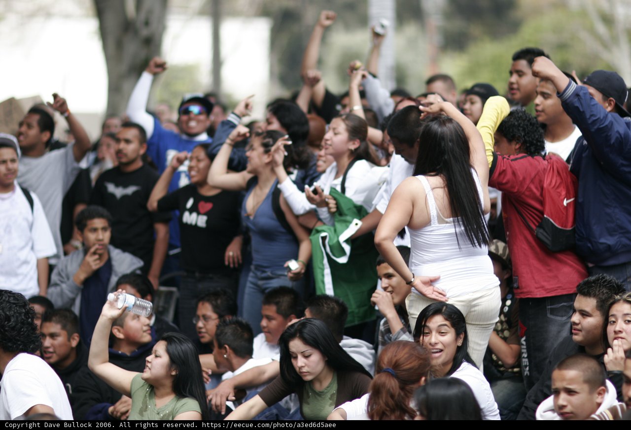 Solidarity in Numbers