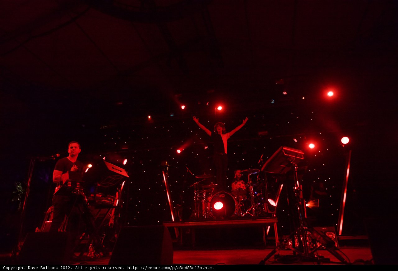 Rocking Out Under the Red Lights
