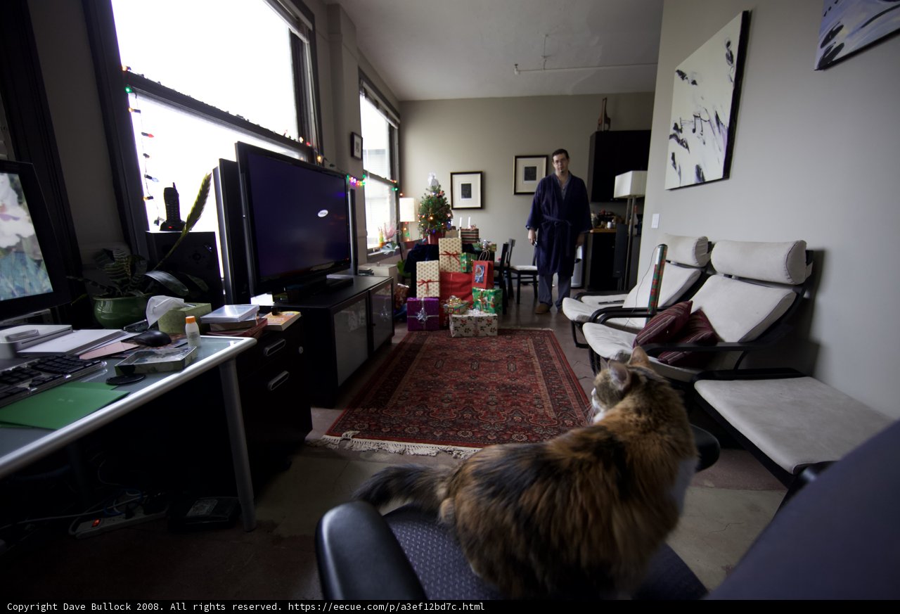 Christmas with the Cat and TV