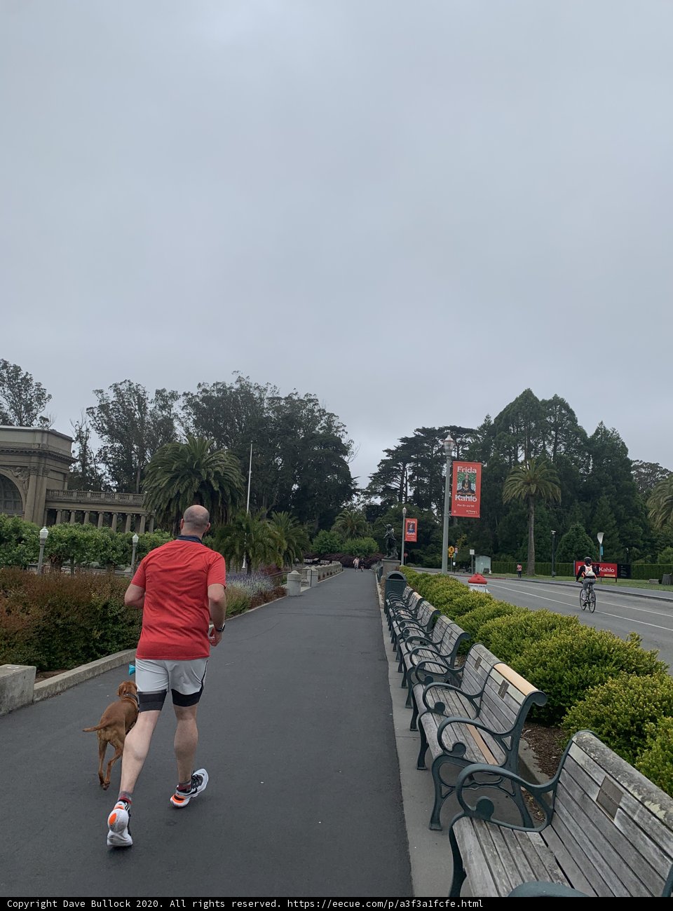 Running with My Four-legged Companion