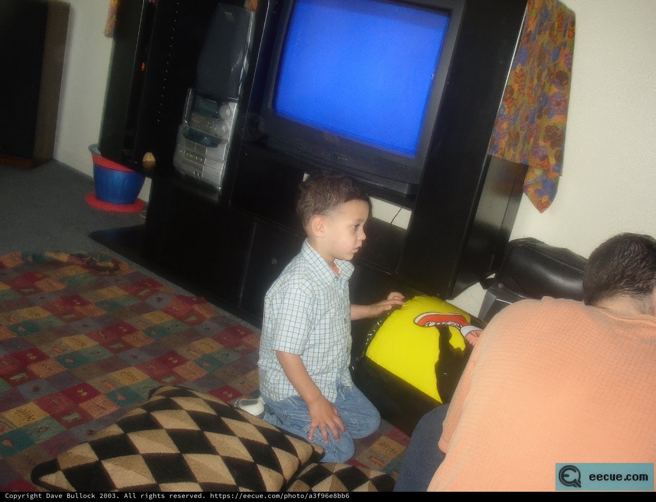 Gaming on the Big Screen