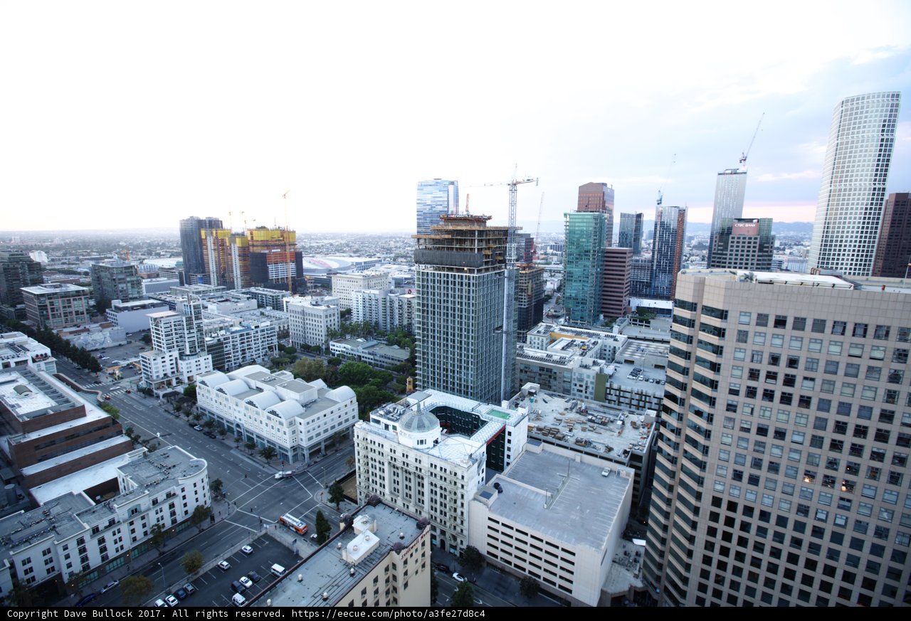 Overlooking the Urban Jungle